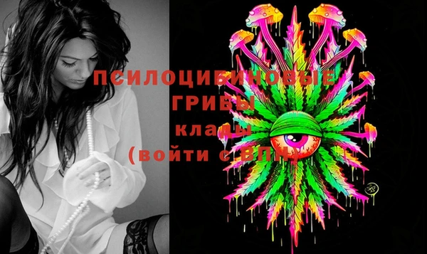 прущие крисы Тавда