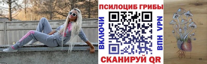 Купить закладки  Полесск  Галлюциногенные грибы Psilocybe 